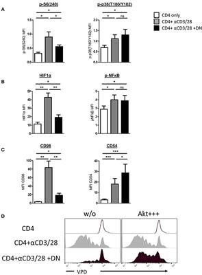 Human Double-Negative Regulatory T-Cells Induce a Metabolic and Functional Switch in Effector T-Cells by Suppressing mTOR Activity